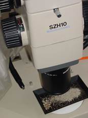 Microscopes : optiques, optiques polarisants, automatisés, inversés à épifluorescence